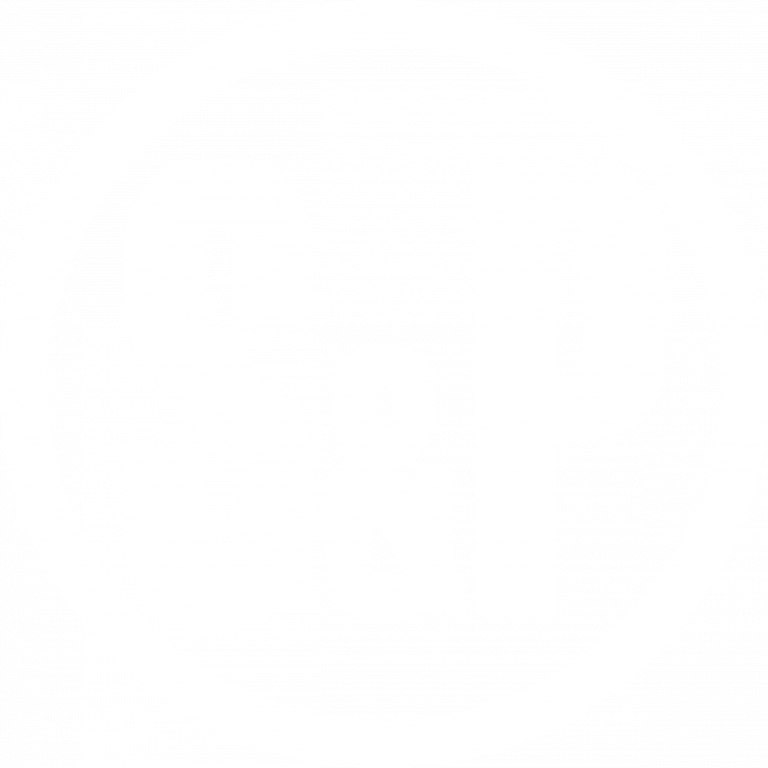 S&Pwhitelogo