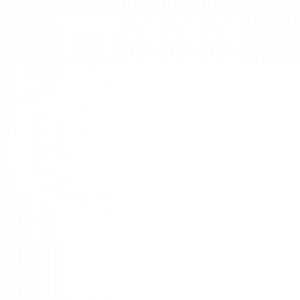 land rover whitelogo